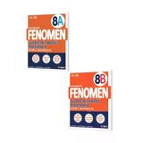 Fenomen 8.sınıf Geometri Tabanlı Matematik A+B Soru Bankaları