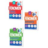 Fenomen Yayıncılık Fenomen Yayınları 6. Sınıf Türkçe Matematik Fen Bilimleri A Soru Bankası Seti