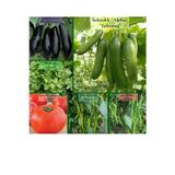 Fento 6 Paket No9 Halep Karası Patlıcan Tohumu Salatalık Tohumu Tatlı Acı Kıl Biber Tohumu Domates Tohumu