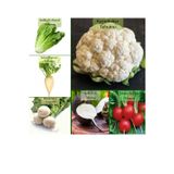 Fento 6 Paket Tohum No10 Kök Sebze Tohumları Karnabahar Turp Şeker Pancarı Tohumu Siyah Turp Tohumu ...