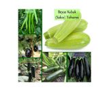 Fento 6 Paket Tohum No3 Sebze Tohumları Patlıcan Tohumu Kabak Tohumu Salatalık Hıyar Tohumu Demre Biber