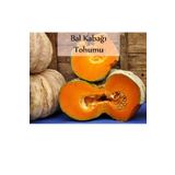 Fento Bal Kabağı Tohumu 1 Paket Kabak Tohumu Kapalı Paket Tohum Bal Kabağı Tatlı Kabağı