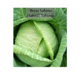 Fento Beyaz Lahana Tohumu 1 Paket Lahana Tohumu Yalova 1 Kapalı Paket Verimli Tohum