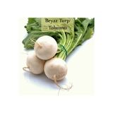 Fento Beyaz Turp Tohumu 1 Paket (10gr=1000+ Adet) Turp Tohumu