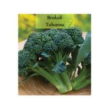 Fento Brokoli Tohumu 1 Paket (1 Gr=250+ Adet)