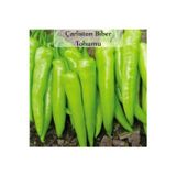 Fento Çarliston Biber Tohumu 1 Paket (10gr=1000+ Adet) Yalova Çarliston Biberi Tohumu