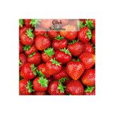Fento Çilek Tohumu 1 Paket (0,5 Gr)