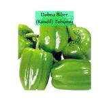 Fento Dolma Biber Tohumu 1 Paket (10gr=1000+ Adet) Kandil Dolma Biberi Tohumu