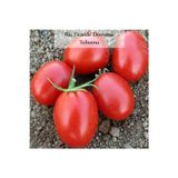 Fento Domates Tohumu Rio Grande 1 Paket (5Gr=1000+ Adet) Rio Grande Domates Tohumu