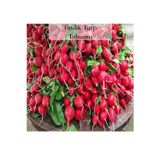 Fento Fındık Turp Tohumu 1 Paket (10gr=1000+ Adet) Turp Tohumu Fındık Turp
