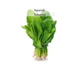 Fento Ispanak Tohumu 1 Paket (10gr=950+ Adet) Matador Ispanak Tohumu