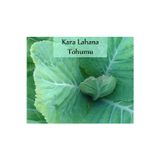 Fento Kara Lahana Tohumu 1 Paket (10gr=2000+ Adet) Karadeniz Lahana Tohumu