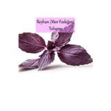 Fento Reyhan Tohumu 1 Paket (3gr=100+ Adet) Mor Reyhan Tohumu Mor Fesleğen Tohumu