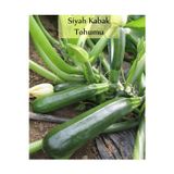 Fento Siyah Kabak Tohumu 1 Paket (10gr=100+ Adet) Kabak Tohumu Siyah