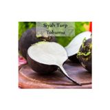 Fento Siyah Turp Tohumu 1 Paket (10gr=1000+ Adet) Turp Tohumu Siyah