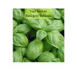 Fento Yeşil Reyhan Tohumu Yeşil Fesleğen 1 Paket (3gr=100+ Adet) Fesleğen Tohumu