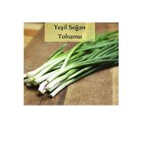 Fento Yeşil Soğan Tohumu 1 Paket (10gr=2000+ Adet) Taze Soğan Tohumu