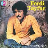 Ferdi Tayfur - Yuvasız Kuşlar - Plak Arabesk Müzik Türü Elenor Yayımcı