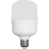 Ferled Torch 30 6500K Beyaz Işık 30 Watt LED Ampül E27 Duy - 20 - 30 W