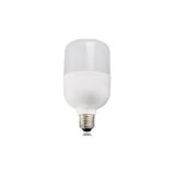 Ferled Torch 40 6500K Beyaz Işık 40 Watt Led Ampül E27 Duy
