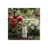 Ferment Özel Gül Bakım Besini - Sarmaşık, Baston, ve Saksı Gülleri İçin - Rosify Üçlü 500 ml (3 Adet)