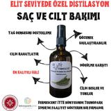 Fermescent At Kuyruğu Suyu Hidrosolü Saç Bakımı Elastikiyet Destekleyici Tonik 100 ml