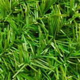 Ferotan Bahçe Çiti Örgü Telli Çim Çit Çim Görünümlü 10MX1M - 1000x100