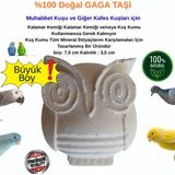Feroxit Doğal Kalamar Kemiği Gaga Taşı 7,5 cm | Kuşlar Için Mineral Blok | Muhabbet Kuşu, Kanarya, Papağan, Sultan Kuşu Için Yumurta Kabuğu Güçlendirici