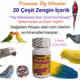 Feroxit Premium Muhabbet Kuşu Vitamini - A D3 E C K Multivitamin Tüy Bakım ve Enerji Tozu 20G