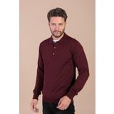 Ferraro 3883 G Bordo Polo Yaka Superfine Yün Erkek Kazak