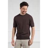 Ferraro Kahve Bisiklet Yaka Kısa Kol Erkek Viskon Triko T-Shirt