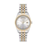 Ferro Fl21131a-D Quartz Çelik Altın/Gri 35 Mm Kadın Kol Saati
