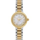 Ferro FL21493A-D Quartz Çelik Altın/gri 28 mm Kadın Kol Saati - tek ebat