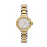 Ferro Fl21493a-D Quartz Çelik Altın/Gri 28 Mm Kadın Kol Saati