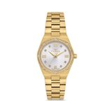 Ferro Fl21518awt-B Quartz Çelik Altın Rengi 30 Mm Kadın Kol Saati
