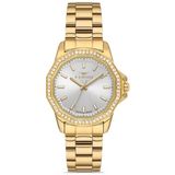 Ferro FL21540AWT-B Quartz Çelik Altın Rengi 32 mm Kadın Kol Saati - tek ebat