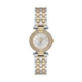 Ferro Fl21608awt-D Quartz Çelik Altın/Gri 21 Mm Kadın Kol Saati