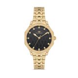 Ferro Fl21632awt-B2 Quartz Çelik Altın Rengi Siyah Kadran 32 Mm Kadın Kol Saati