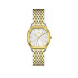 Ferro Fl21766awt-D Quartz Çelik Sarı Gri 28 Mm Kadın Kol Saati