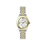 Ferro Fl40170a-D Quartz Çelik Gri Sarı 22 Mm Kadın Kol Saati