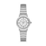 Ferro Fl43009a-A Quartz Çelik Gri 28 Mm Kadın Kol Saati