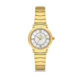 Ferro Fl43009a-B Quartz Çelik Altın Rengi 28 Mm Kadın Kol Saati