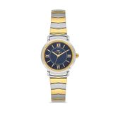 Ferro Fl43009a-D3 Quartz Çelik Altın/Gri Lacivert Kadran 28 Mm Kadın Kol Saati