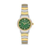 Ferro Fl43009a-D6 Quartz Çelik Altın/Gri Yeşil Kadran 28 Mm Kadın Kol Saati