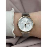 Ferrucci Taşlı Gümüş-Rose Gold Hasır Ferrucci Kadın Kol Saati - Gümüş - Rose Gold
