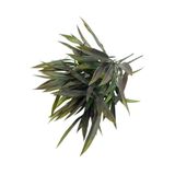 fesleğen çiçek Yapay Çiçek Bambu Grass Koyu Yeşil 7 DAL 40cm Demet Garnitür Aradal Dekoratif
