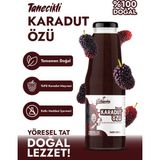 Fethiyeden Gelsin Doğal Karadut Özü (Tanecikli) 1350GR Katkısız, Organik - 1 Adet