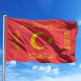 Fetih Bayrağı Sarı 100x150 Tek Kat Raşel