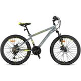 Feyza Design 24 Jant Dağ Bisikleti, Shimano Vites, Mekanik Disk Fren, 2026 Model - Seçenek 1 - Altın - Gri