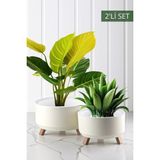 Feyza Design 2'li Tripot Saksı Seti, Modern ve Şık Tasarım, Güçlü ve Dayanıklı Yapı - Ahşap - Beyaz